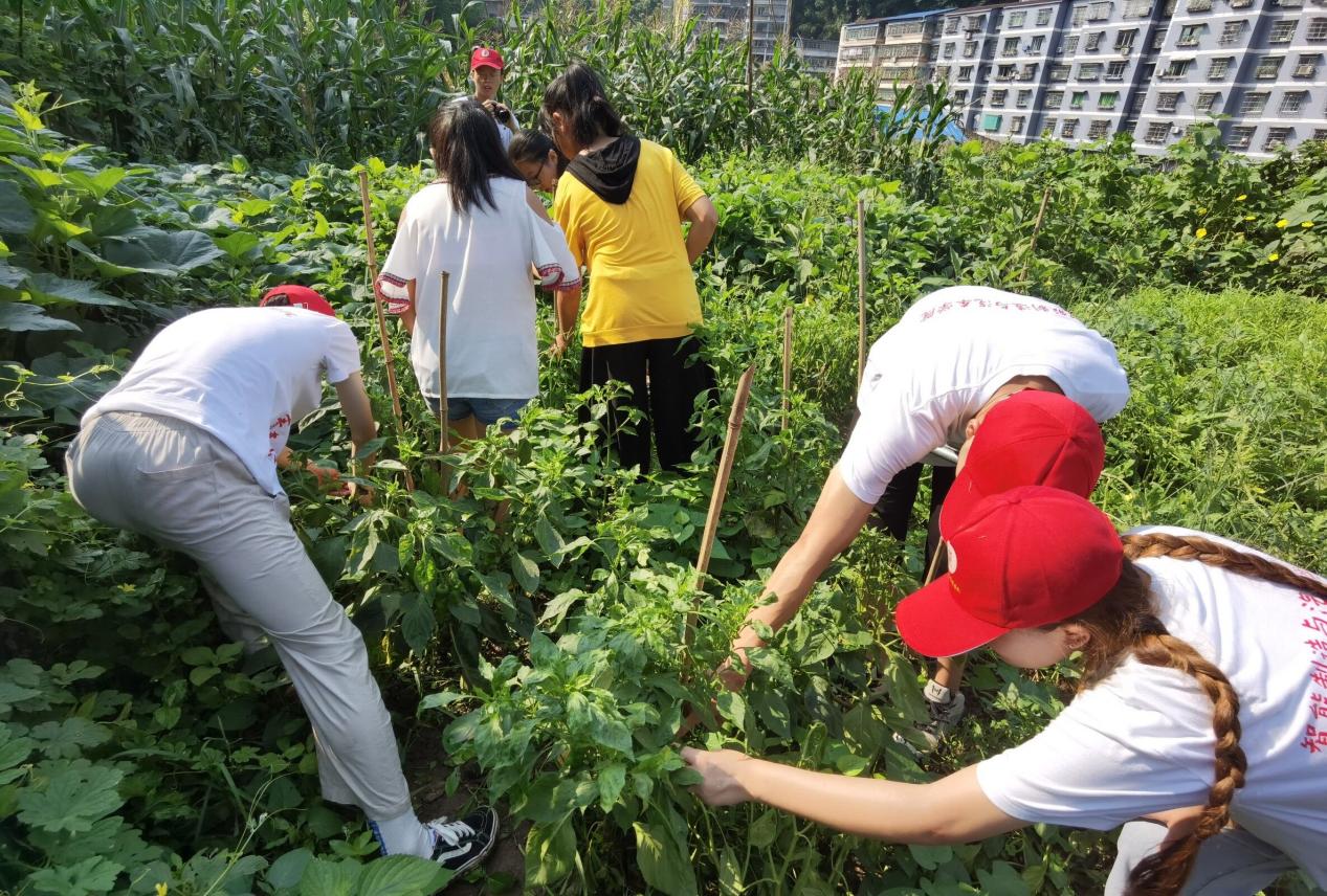 QQ图片20210715233139